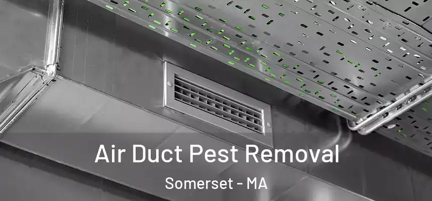  Air Duct Pest Removal Somerset - MA