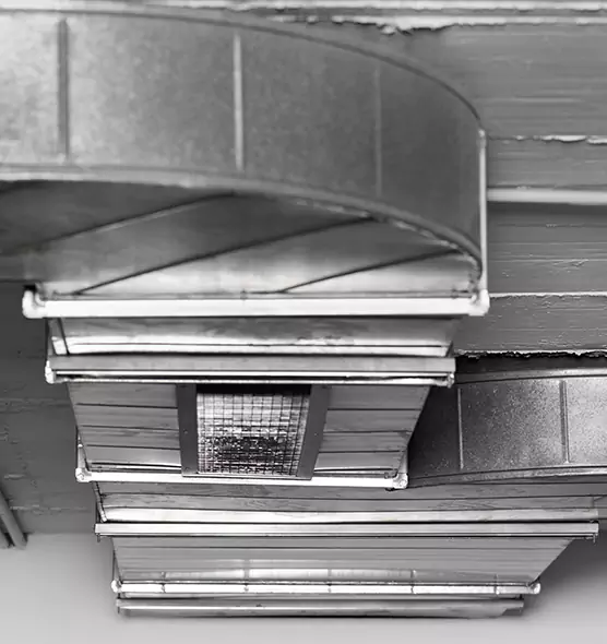 Professional Air Duct Pest Removal in Somerset, MA