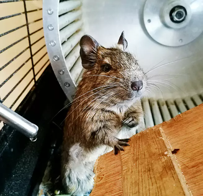 Why Homeowners & Businesses Trust Us Somerset, MA