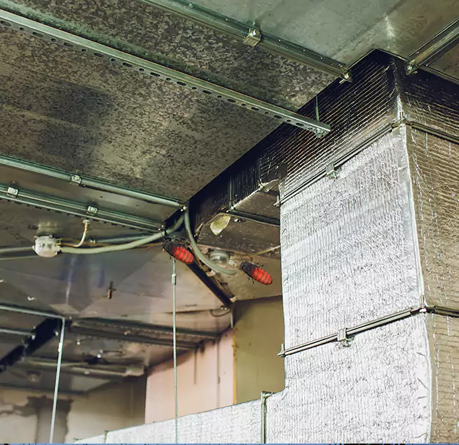 Why Homeowners & Businesses Trust Us Somerset, MA?